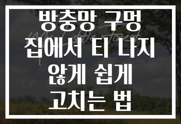 방충망 구멍 집에서 티 나지 않게 쉽게 고치는 법 방충망 구멍 집에서 티 나지 않게 쉽게 고치는 법
