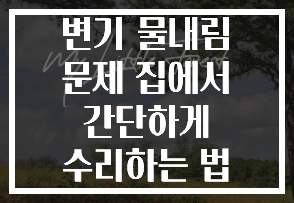 변기 물내림 문제 집에서 간단하게 수리하는 법