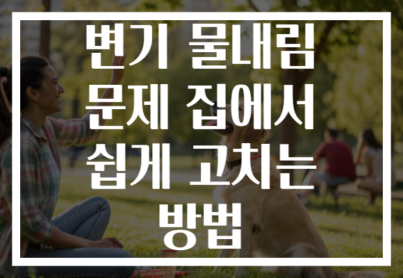 변기 물내림 문제 집에서 쉽게 고치는 방법