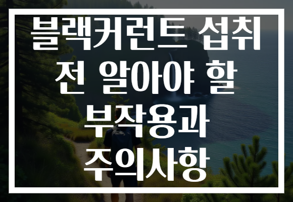 블랙커런트 섭취 전 알아야 할 부작용과 주의사항 블랙커런트 섭취 전 알아야 할 부작용과 주의사항