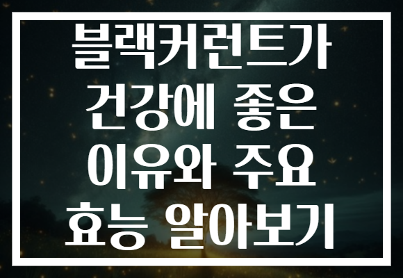 블랙커런트가 건강에 좋은 이유와 주요 효능 알아보기