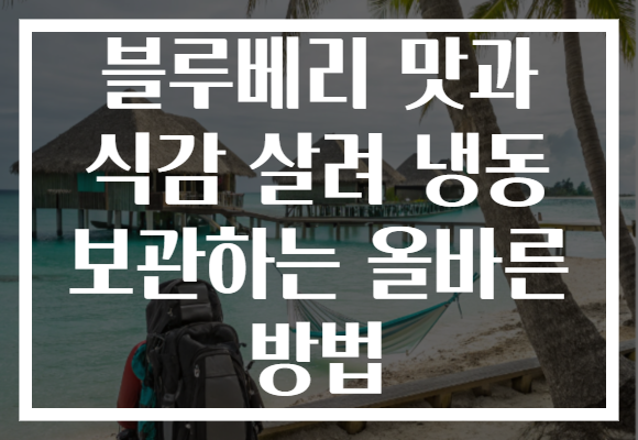 블루베리 맛과 식감 살려 냉동 보관하는 올바른 방법