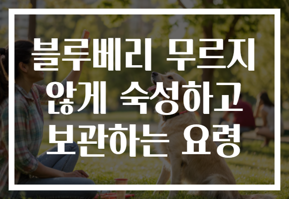 블루베리 무르지 않게 숙성하고 보관하는 요령 블루베리 무르지 않게 숙성하고 보관하는 요령