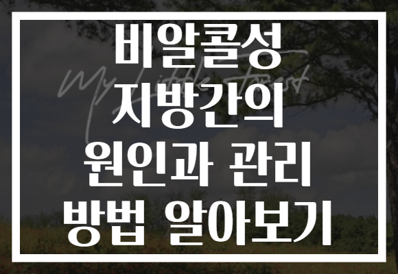 비알콜성 지방간의 원인과 관리 방법 알아보기 비알콜성 지방간의 원인과 관리 방법 알아보기