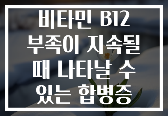비타민 B12 부족이 지속될 때 나타날 수 있는 합병증