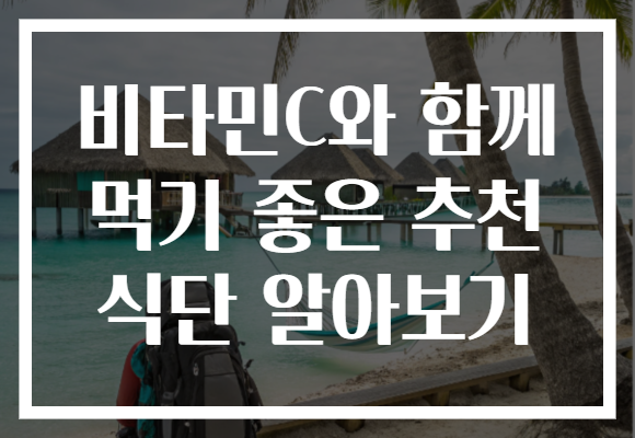 비타민C와 함께 먹기 좋은 추천 식단 알아보기 비타민C와 함께 먹기 좋은 추천 식단 알아보기