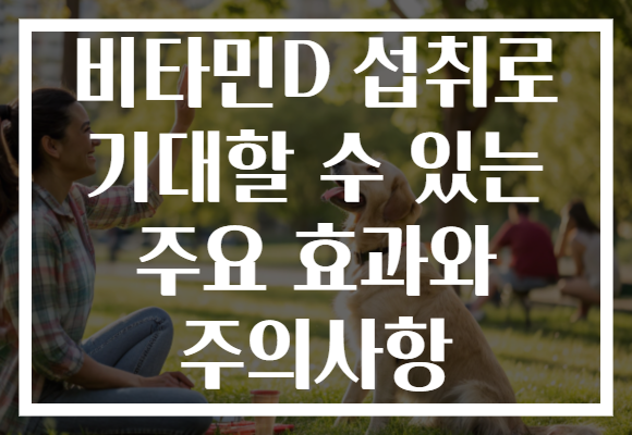 비타민D 섭취로 기대할 수 있는 주요 효과와 주의사항