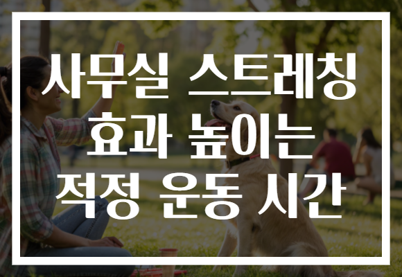사무실 스트레칭 효과 높이는 적정 운동 시간 사무실 스트레칭 효과 높이는 적정 운동 시간