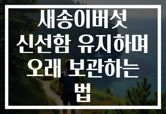 새송이버섯 신선함 유지하며 오래 보관하는 법