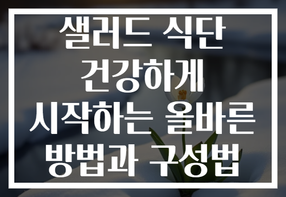 샐러드 식단 건강하게 시작하는 올바른 방법과 구성법