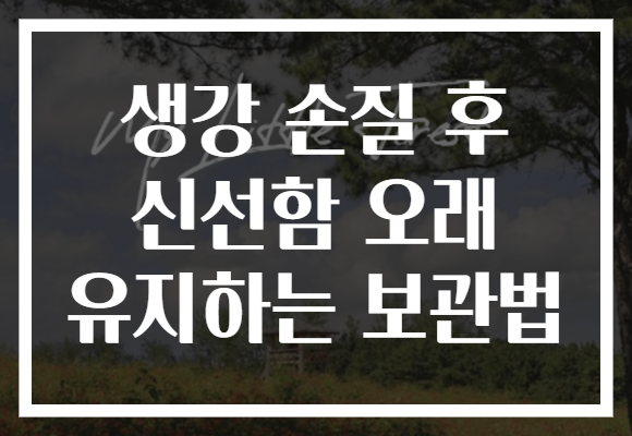 생강 손질 후 신선함 오래 유지하는 보관법 생강 손질 후 신선함 오래 유지하는 보관법