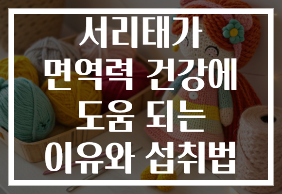 서리태가 면역력 건강에 도움 되는 이유와 섭취법
