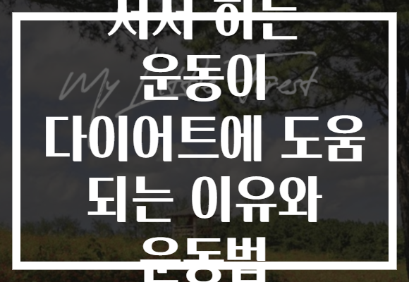 서서 하는 운동이 다이어트에 도움 되는 이유와 운동법 서서 하는 운동이 다이어트에 도움 되는 이유와 운동법