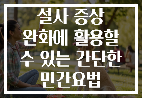 설사 증상 완화에 활용할 수 있는 간단한 민간요법 설사 증상 완화에 활용할 수 있는 간단한 민간요법