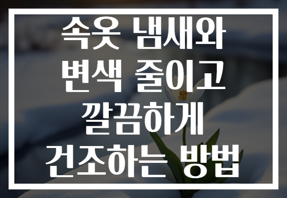 속옷 냄새와 변색 줄이고 깔끔하게 건조하는 방법 속옷 냄새와 변색 줄이고 깔끔하게 건조하는 방법