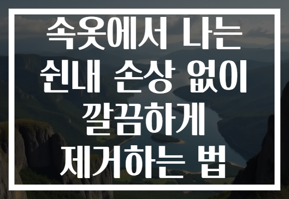 속옷에서 나는 쉰내 손상 없이 깔끔하게 제거하는 법 속옷에서 나는 쉰내 손상 없이 깔끔하게 제거하는 법