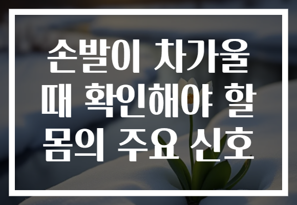 손발이 차가울 때 확인해야 할 몸의 주요 신호 손발이 차가울 때 확인해야 할 몸의 주요 신호