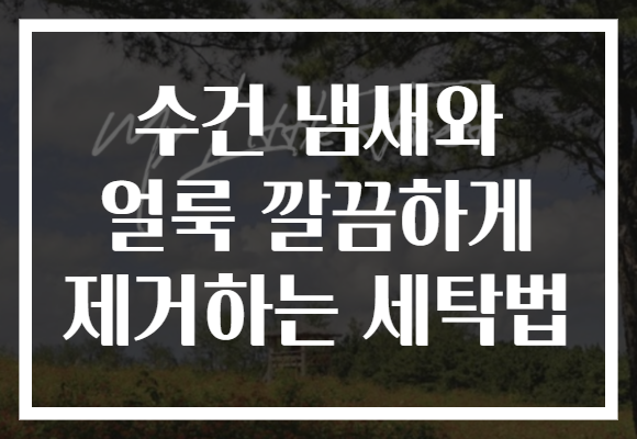 수건 냄새와 얼룩 깔끔하게 제거하는 세탁법 수건 냄새와 얼룩 깔끔하게 제거하는 세탁법