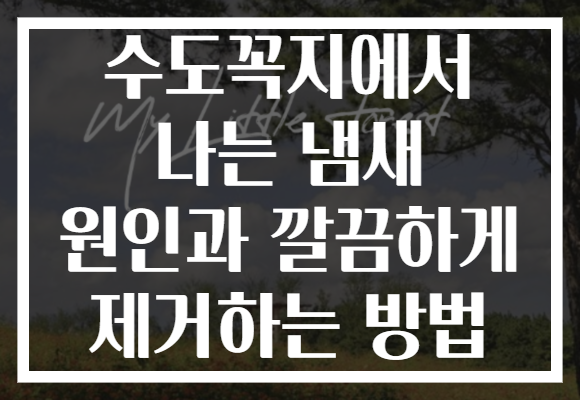 수도꼭지에서 나는 냄새 원인과 깔끔하게 제거하는 방법 수도꼭지에서 나는 냄새 원인과 깔끔하게 제거하는 방법