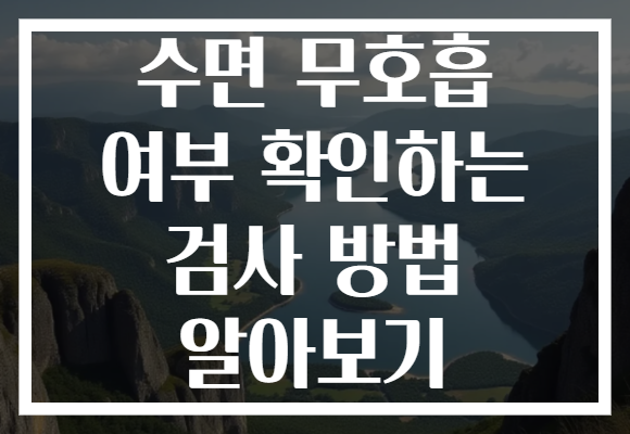 수면 무호흡 여부 확인하는 검사 방법 알아보기 수면 무호흡 여부 확인하는 검사 방법 알아보기