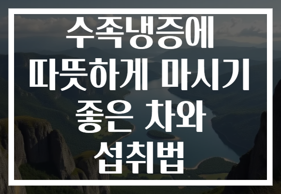 수족냉증에 따뜻하게 마시기 좋은 차와 섭취법