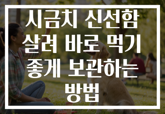 시금치 신선함 살려 바로 먹기 좋게 보관하는 방법