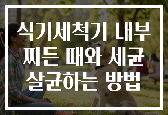 식기세척기 내부 찌든 때와 세균 살균하는 방법 식기세척기 내부 찌든 때와 세균 살균하는 방법