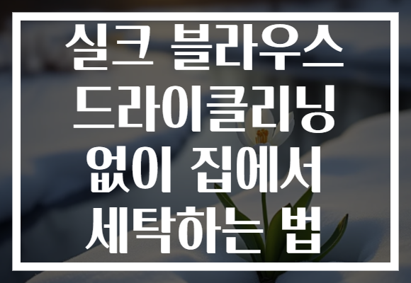 실크 블라우스 드라이클리닝 없이 집에서 세탁하는 법