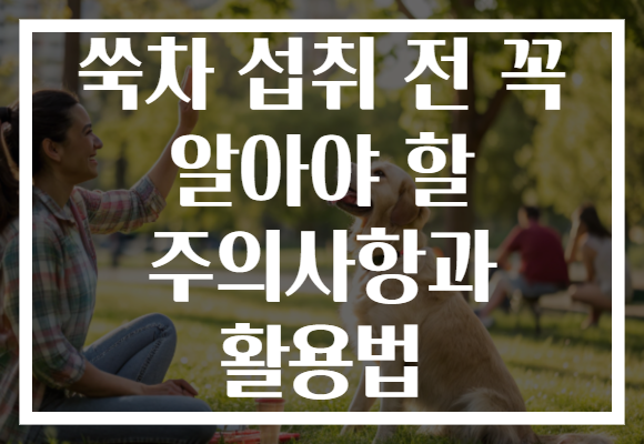 쑥차 섭취 전 꼭 알아야 할 주의사항과 활용법 쑥차 섭취 전 꼭 알아야 할 주의사항과 활용법