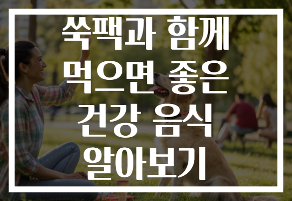쑥팩과 함께 먹으면 좋은 건강 음식 알아보기 쑥팩과 함께 먹으면 좋은 건강 음식 알아보기