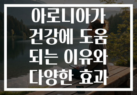 아로니아가 건강에 도움 되는 이유와 다양한 효과