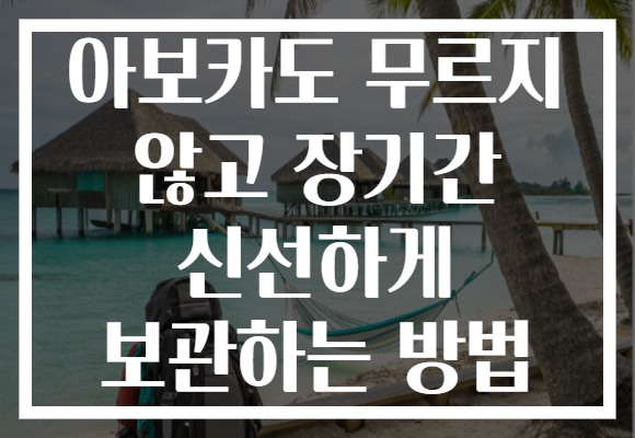 아보카도 무르지 않고 장기간 신선하게 보관하는 방법 아보카도 무르지 않고 장기간 신선하게 보관하는 방법