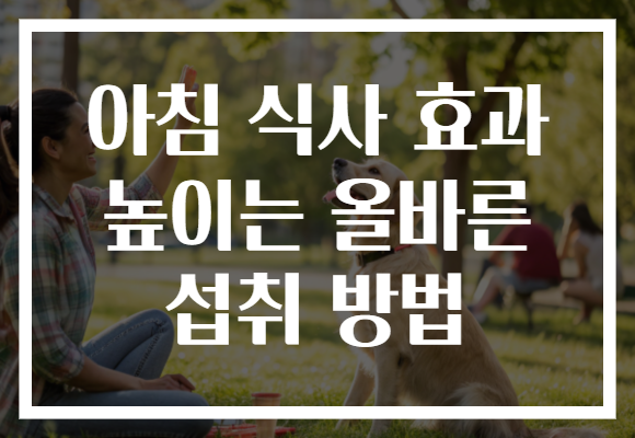 아침 식사 효과 높이는 올바른 섭취 방법 아침 식사 효과 높이는 올바른 섭취 방법