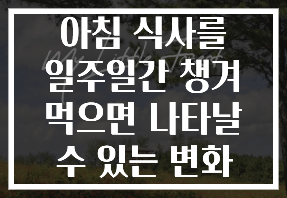 아침 식사를 일주일간 챙겨 먹으면 나타날 수 있는 변화 아침 식사를 일주일간 챙겨 먹으면 나타날 수 있는 변화