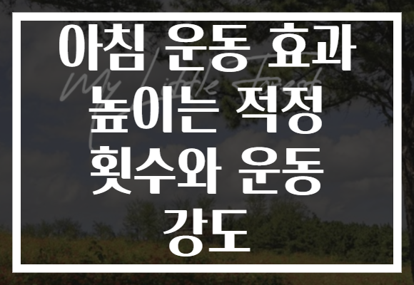 아침 운동 효과 높이는 적정 횟수와 운동 강도 아침 운동 효과 높이는 적정 횟수와 운동 강도