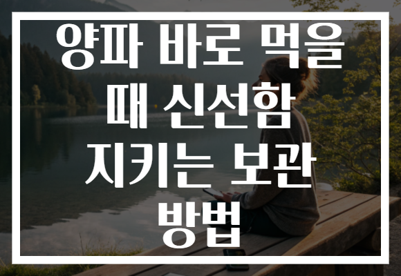 양파 바로 먹을 때 신선함 지키는 보관 방법