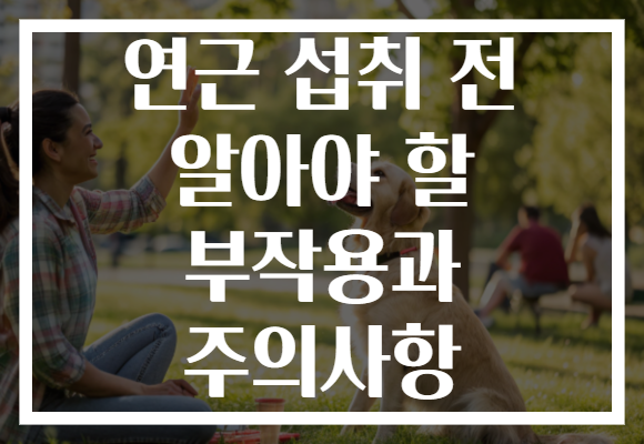 연근 섭취 전 알아야 할 부작용과 주의사항 연근 섭취 전 알아야 할 부작용과 주의사항