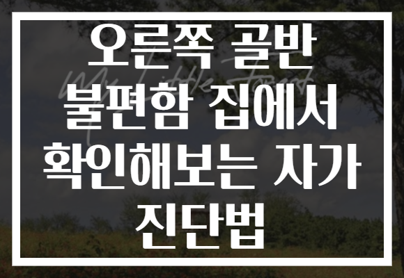 오른쪽 골반 불편함 집에서 확인해보는 자가 진단법 오른쪽 골반 불편함 집에서 확인해보는 자가 진단법