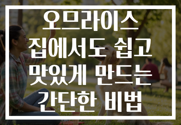 오므라이스 집에서도 쉽고 맛있게 만드는 간단한 비법