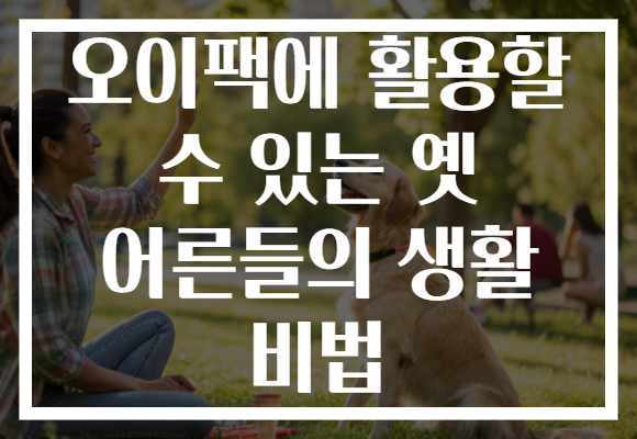 오이팩에 활용할 수 있는 옛 어른들의 생활 비법