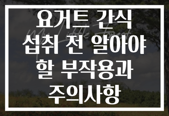 요거트 간식 섭취 전 알아야 할 부작용과 주의사항 요거트 간식 섭취 전 알아야 할 부작용과 주의사항