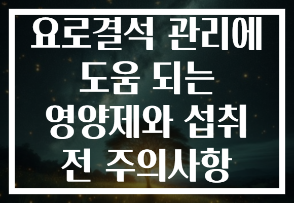 요로결석 관리에 도움 되는 영양제와 섭취 전 주의사항