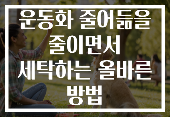 운동화 줄어듦을 줄이면서 세탁하는 올바른 방법
