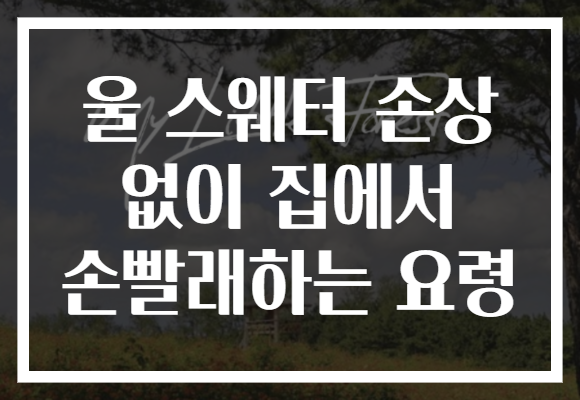 울 스웨터 손상 없이 집에서 손빨래하는 요령