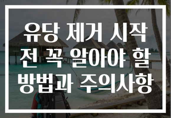 유당 제거 시작 전 꼭 알아야 할 방법과 주의사항