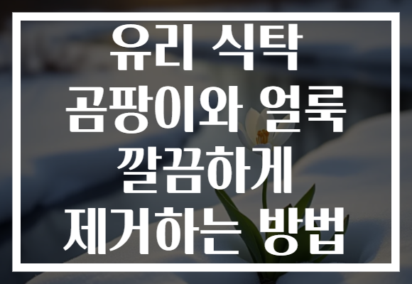 유리 식탁 곰팡이와 얼룩 깔끔하게 제거하는 방법