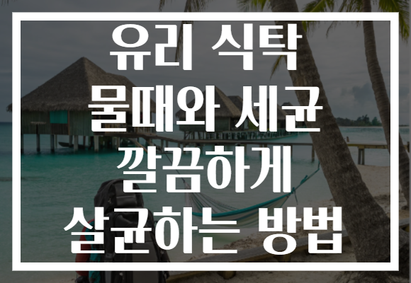 유리 식탁 물때와 세균 깔끔하게 살균하는 방법 유리 식탁 물때와 세균 깔끔하게 살균하는 방법