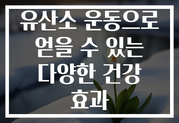 유산소 운동으로 얻을 수 있는 다양한 건강 효과 유산소 운동으로 얻을 수 있는 다양한 건강 효과
