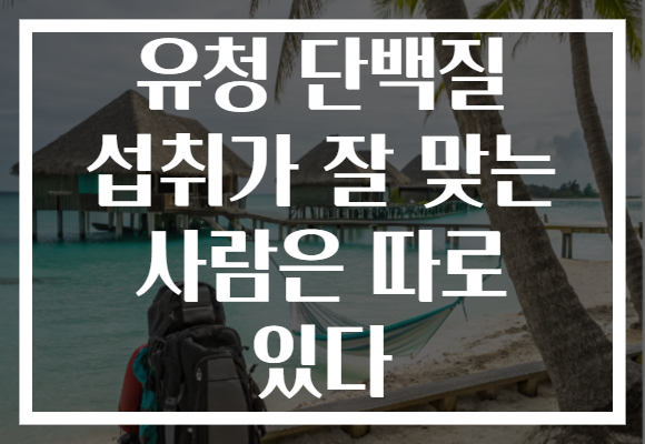 유청 단백질 섭취가 잘 맞는 사람은 따로 있다