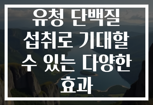 유청 단백질 섭취로 기대할 수 있는 다양한 효과 유청 단백질 섭취로 기대할 수 있는 다양한 효과
